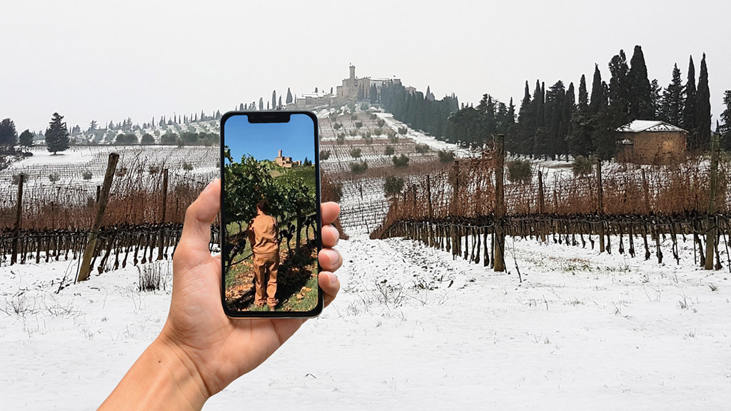 Spirito Italiano banfi sangiovese sanguis jovis Spirito Italiano banfi sangiovese sanguis jovis