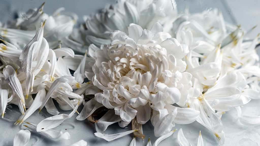 Spirito Italiano birra origini storia fiaba egizi Spirito Italiano birra origini storia fiaba egizi