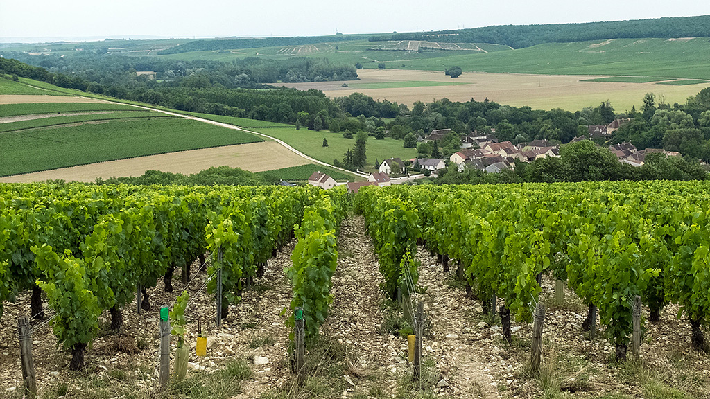 Spirito Italiano concorso migliori chablis 2023