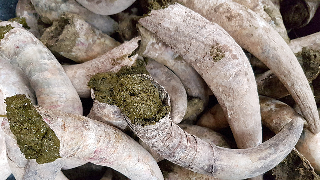 Spirito Italiano equiparazione biologico biodinamico legge Spirito Italiano equiparazione biologico biodinamico legge