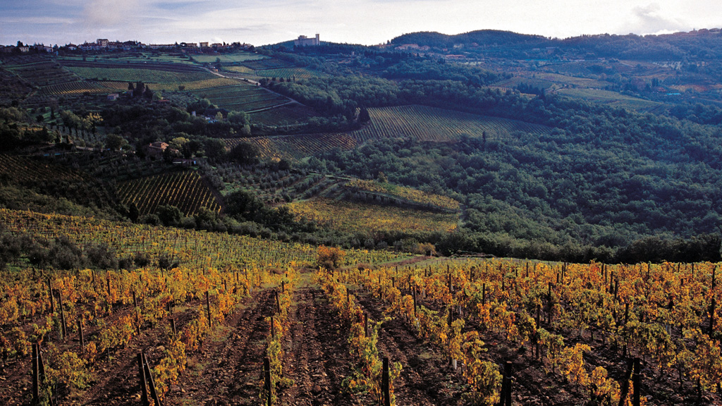 Spirito Italiano sodi san niccolò castellare castellina Marco Sanfilippo Spirito Italiano sodi san niccolò castellare castellina Marco Sanfilippo