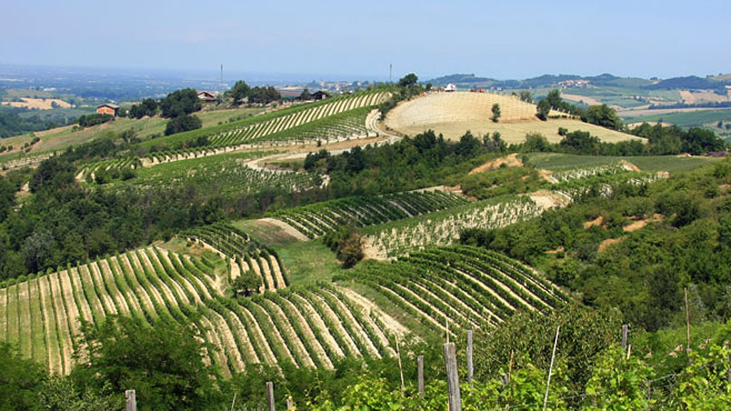 Spirito Italiano derthona timorasso due.zero