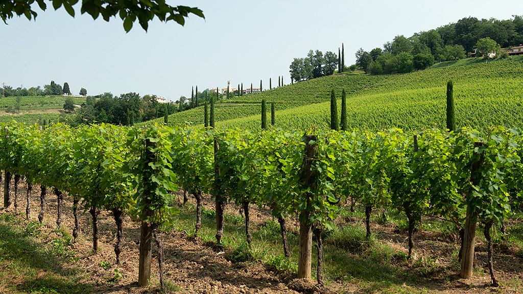 Spirito Italiano collio day 2022