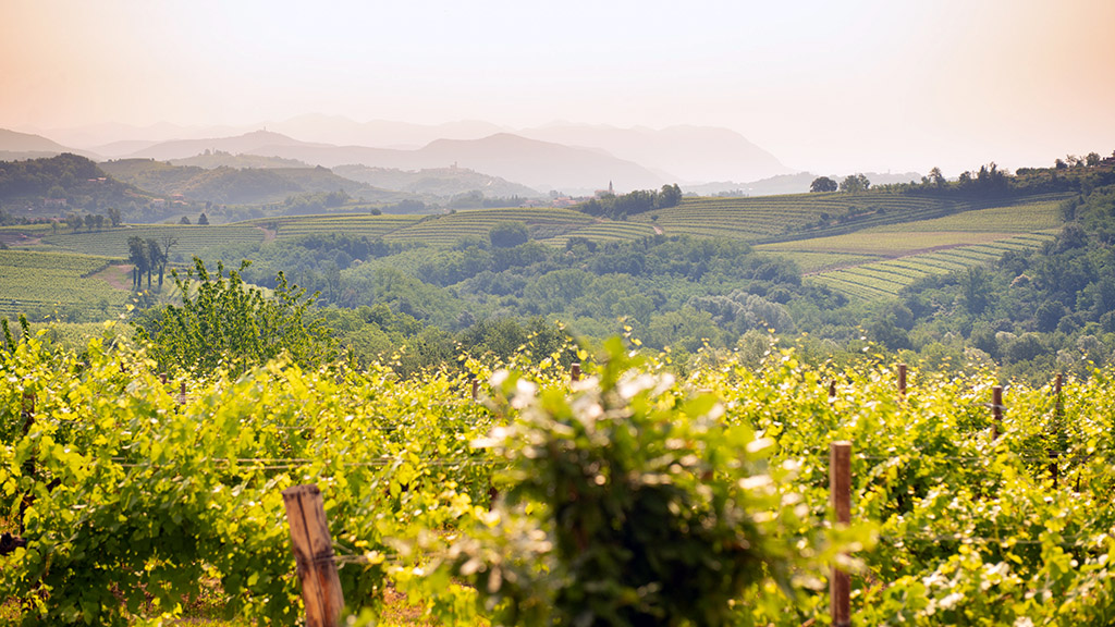 Spirito Italiano collio day 2022