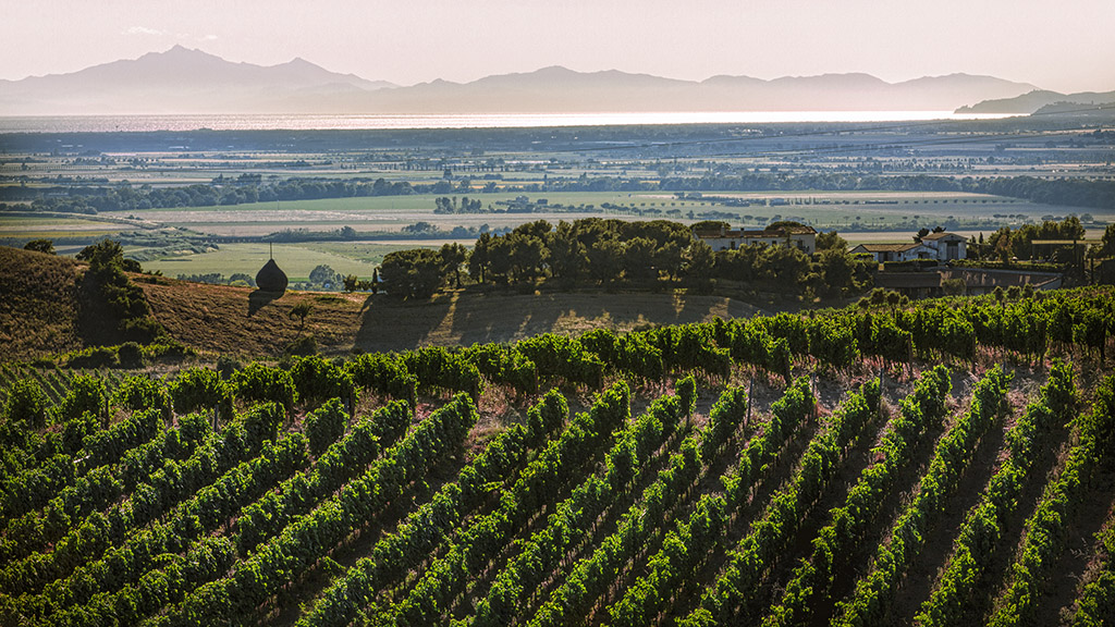 Spirito Italiano Vermentino Maremma grand prix 2022
