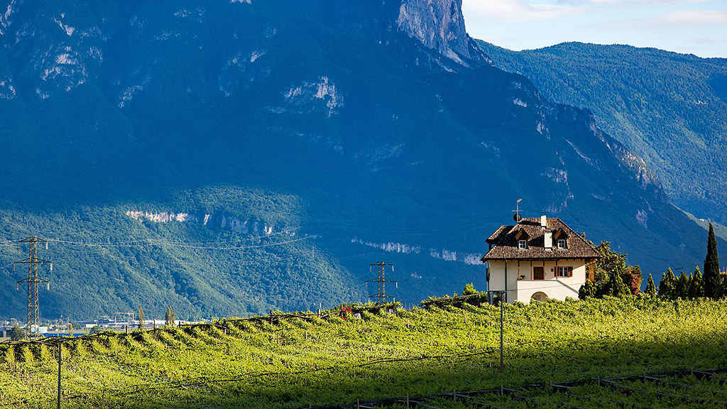 Spirito Italiano pinot nero più buoni Giornate alto adige