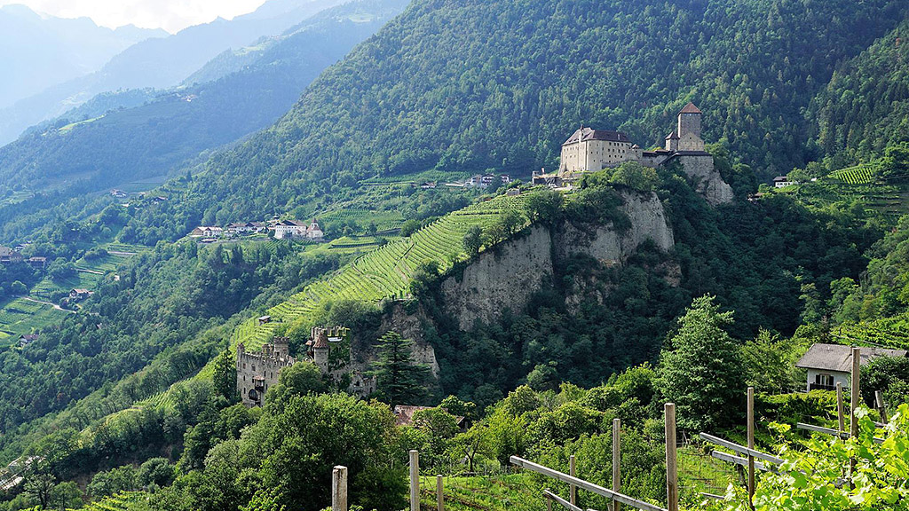 Spirito Italiano pinot nero più buoni Giornate alto adige