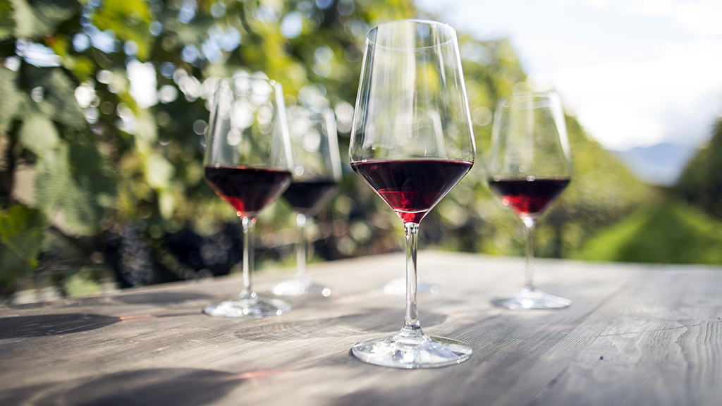 Spirito Italiano pinot nero più buoni Giornate alto adige