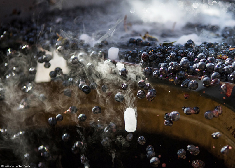 Spirito Italiano foto Pink Lady Food Photographer of the Year premi