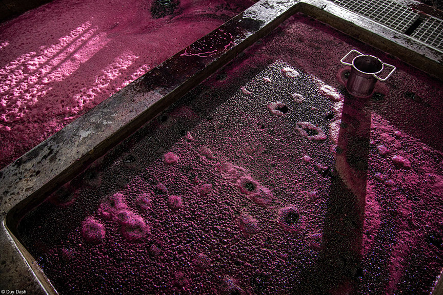 Spirito Italiano foto Pink Lady Food Photographer of the Year premi