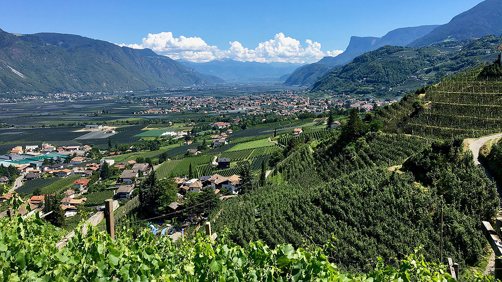 Spirito Italiano sauvignon più buoni italia alto adige