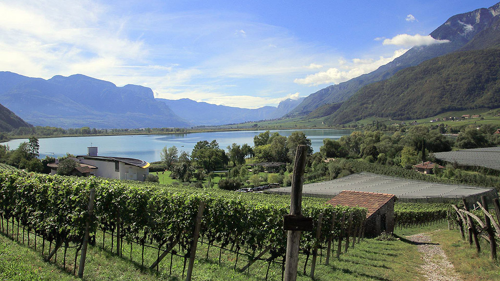 Spirito Italiano cantine aperte 2023 mtv