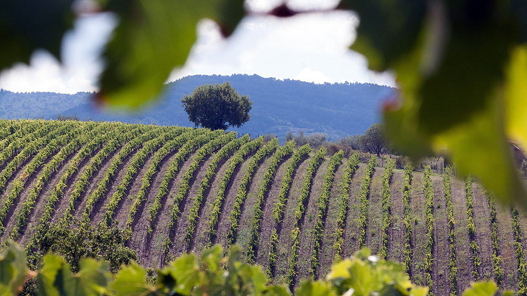 Spirito Italiano cantine aperte 2022