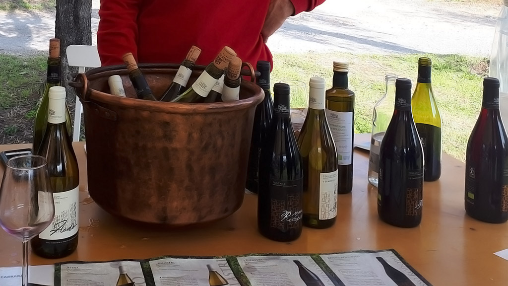 Spirito Italiano vignaioli fivi lucca massa carrara resilienti Spirito Italiano vignaioli fivi lucca massa carrara resilienti