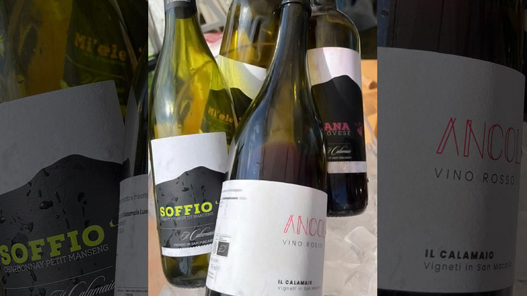 Spirito Italiano vignaioli fivi lucca massa carrara resilienti Spirito Italiano vignaioli fivi lucca massa carrara resilienti