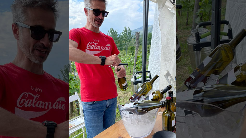 Spirito Italiano vignaioli fivi lucca massa carrara resilienti Spirito Italiano vignaioli fivi lucca massa carrara resilienti