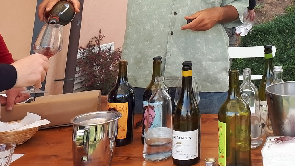 Spirito Italiano vignaioli fivi lucca massa carrara resilienti Spirito Italiano vignaioli fivi lucca massa carrara resilienti