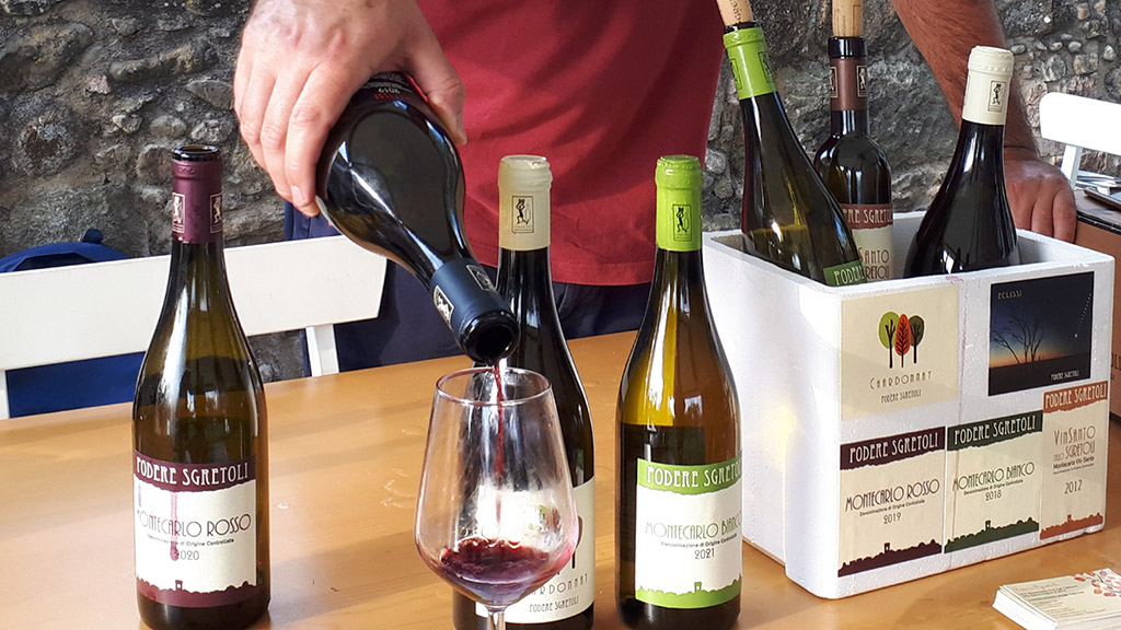 Spirito Italiano vignaioli fivi lucca massa carrara resilienti Spirito Italiano vignaioli fivi lucca massa carrara resilienti