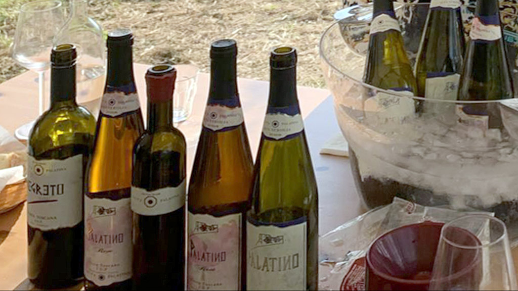 Spirito Italiano vignaioli fivi lucca massa carrara resilienti Spirito Italiano vignaioli fivi lucca massa carrara resilienti