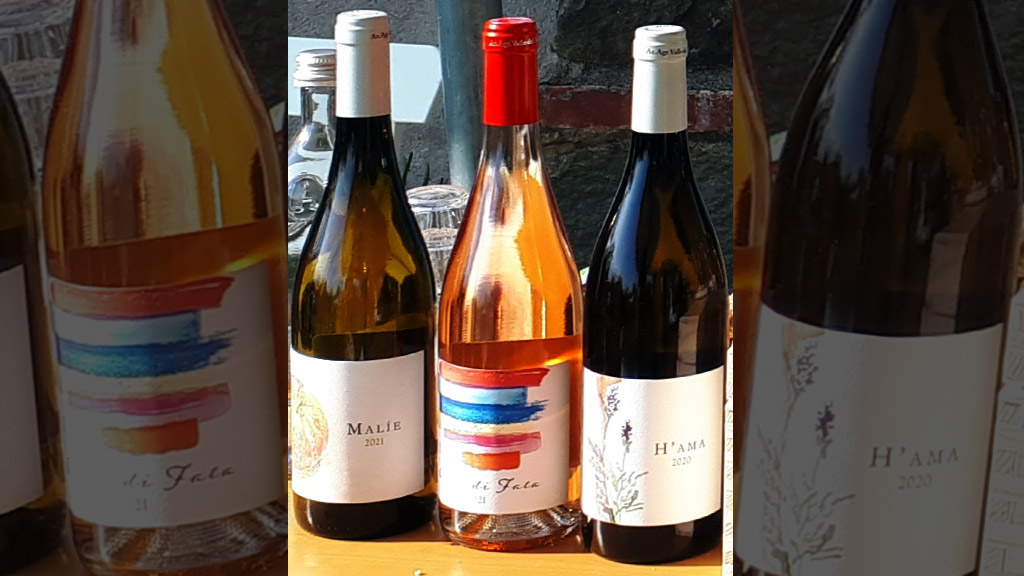 Spirito Italiano vignaioli fivi lucca massa carrara resilienti Spirito Italiano vignaioli fivi lucca massa carrara resilienti