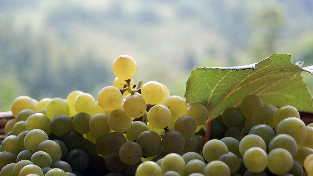 Spirito Italiano prosecco valdobbiadene cena paesaggio