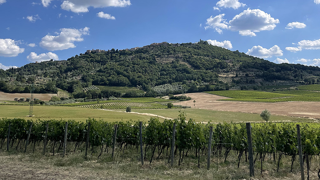 Spirito Italiano red montalcino rosso 2022 Spirito Italiano red montalcino rosso 2022