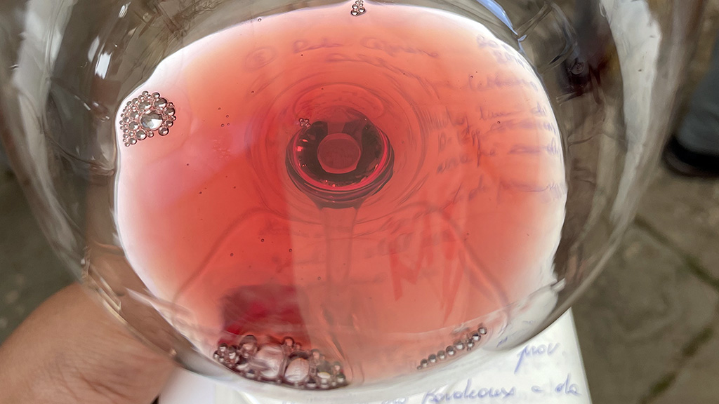 Spirito Italiano red montalcino rosso 2023