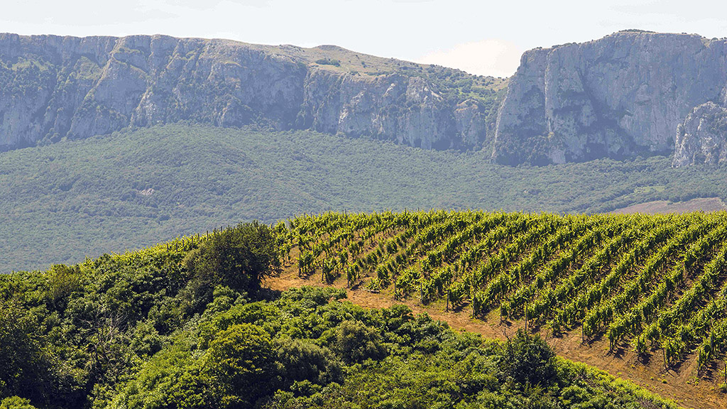 Spirito Italiano sicilia doc sostenibilità