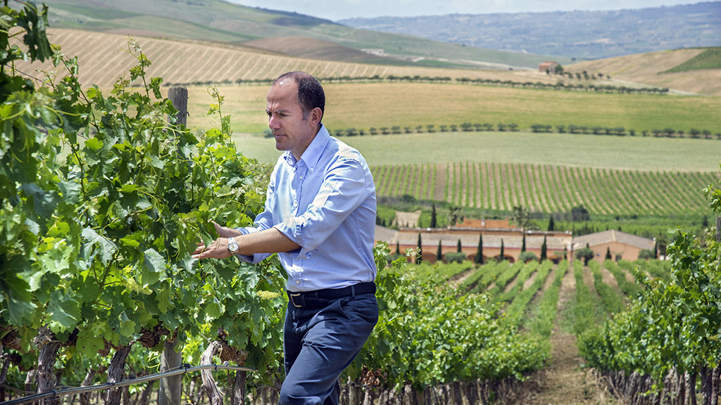 Spirito Italiano sicilia doc sostenibilità