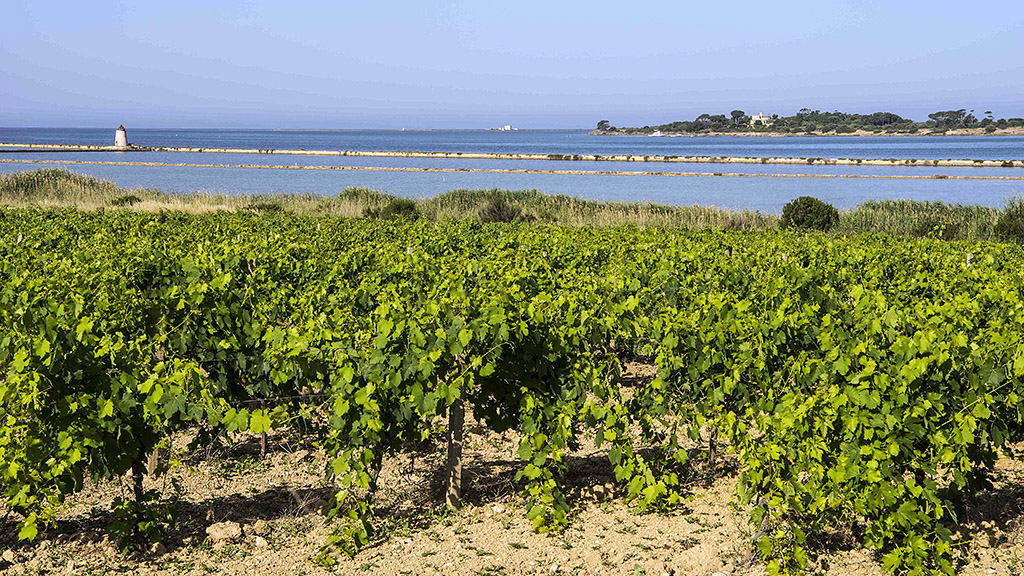 Spirito Italiano sicilia doc sostenibilità