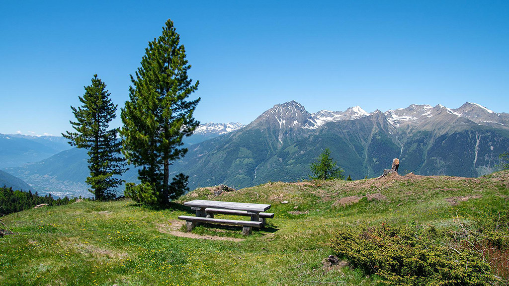 Spirito Italiano picnic galateo stile estate Spirito Italiano picnic galateo stile estate