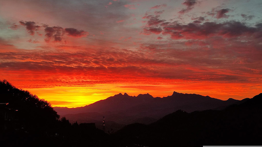 Spirito Italiano fosso di corsano vermentino terenzuola colli di luni Spirito Italiano fosso di corsano vermentino terenzuola colli di luni
