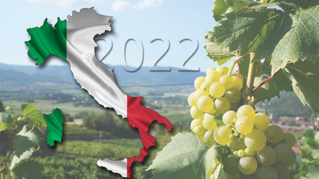 Spirito Italiano previsioni vendemmia vino italia 2022