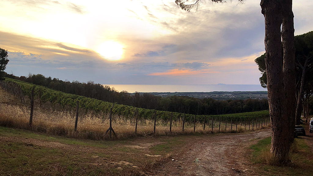 Spirito Italiano migliori bolgheri divino 2022