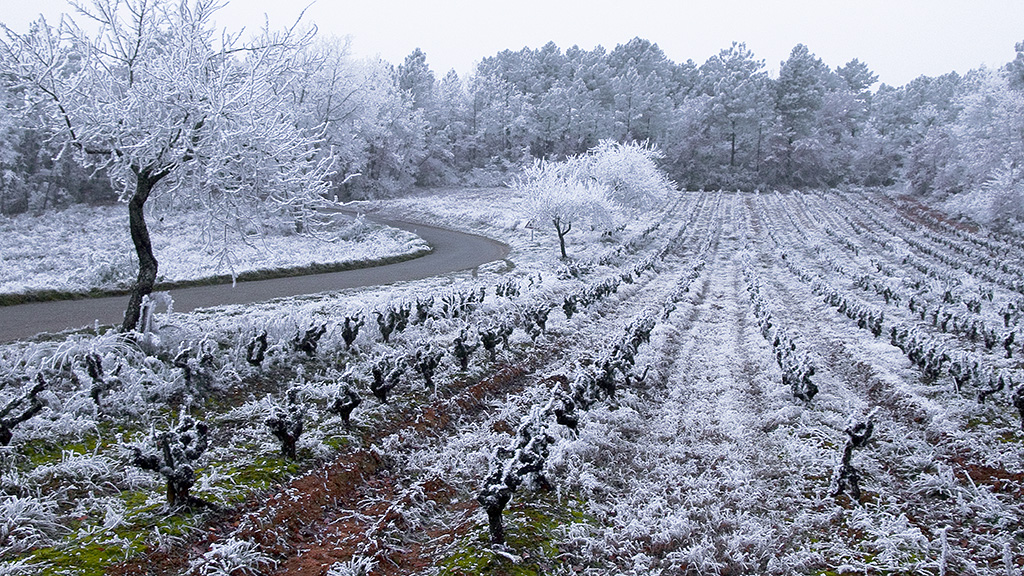 Spirito Italiano vino cahors francia vin Spirito Italiano vino cahors francia vin
