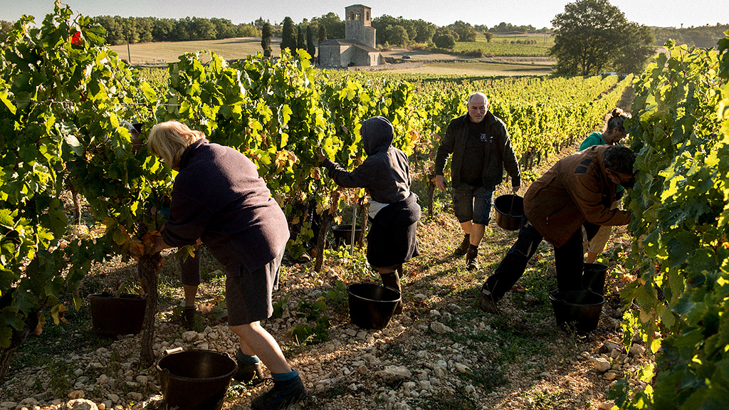 Spirito Italiano vino cahors francia vin Spirito Italiano vino cahors francia vin