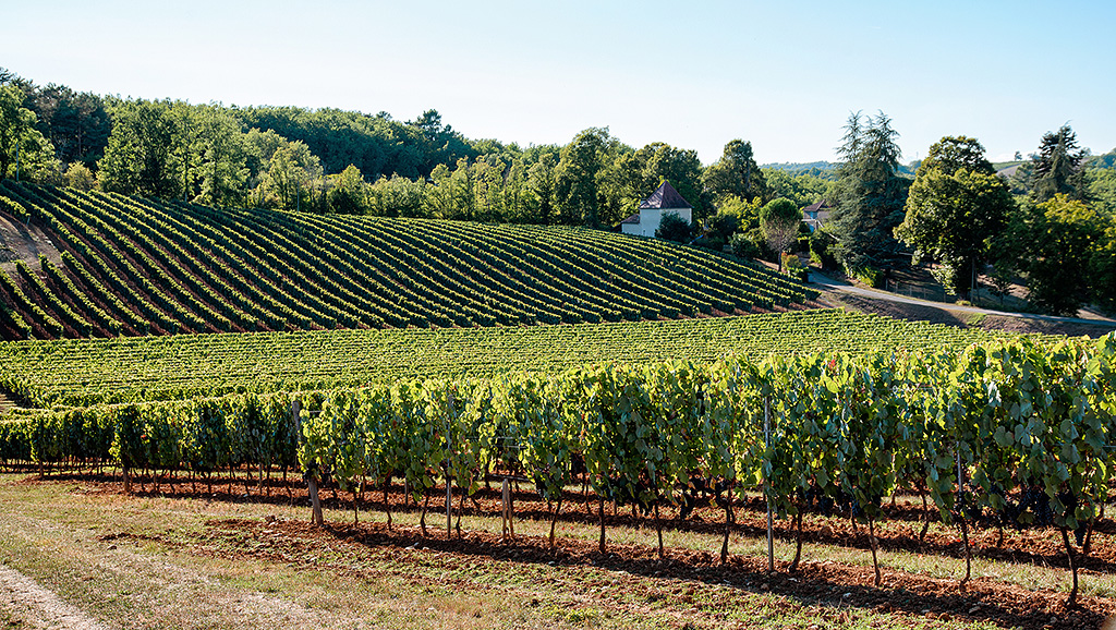 Spirito Italiano vino cahors francia vin Spirito Italiano vino cahors francia vin
