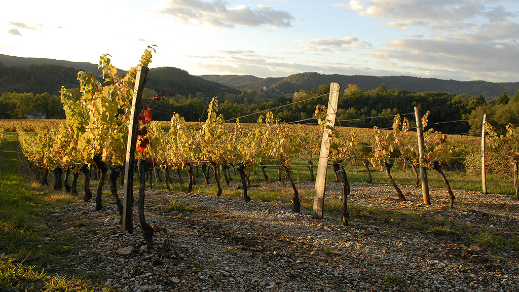 Spirito Italiano vino cahors francia vin Spirito Italiano vino cahors francia vin
