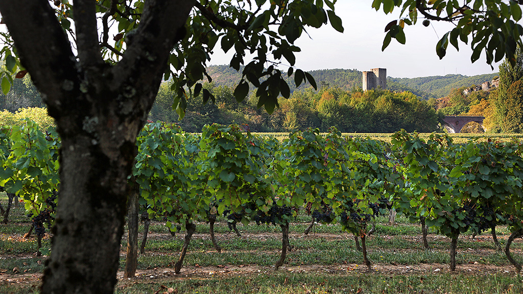 Spirito Italiano vino cahors francia vin Spirito Italiano vino cahors francia vin