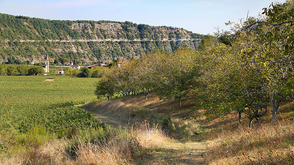 Spirito Italiano vino cahors francia vin Spirito Italiano vino cahors francia vin