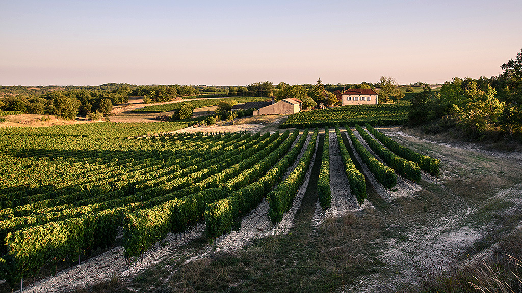 Spirito Italiano vino cahors francia vin Spirito Italiano vino cahors francia vin