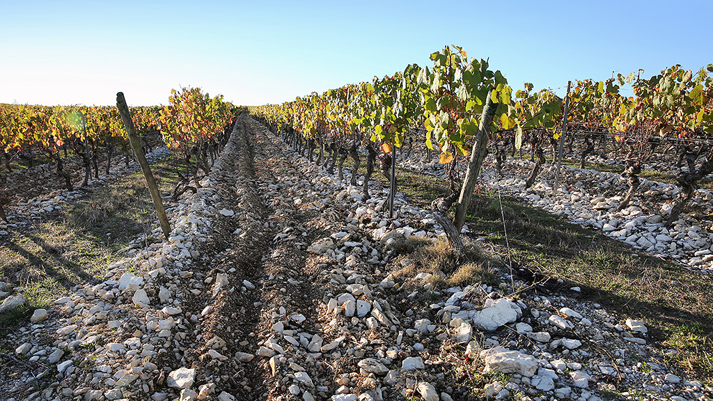 Spirito Italiano vino cahors francia vin Spirito Italiano vino cahors francia vin