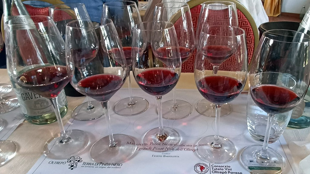 Spirito Italiano oltrepò,pinot