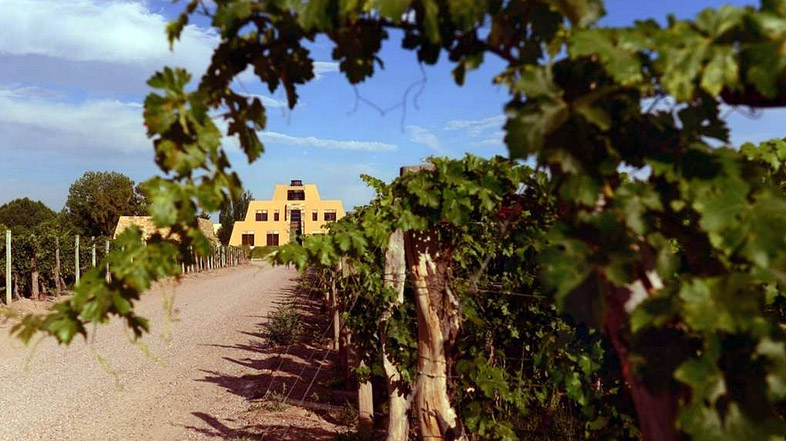 Spirito Italiano cantina più bella del mondo