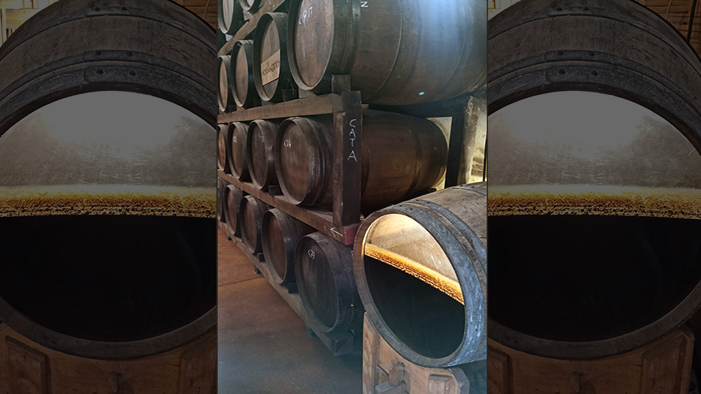 Spirito Italiano contini vernaccia sardegna cantina