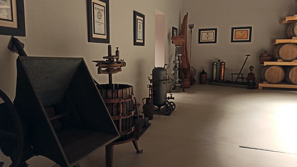 Spirito Italiano contini vernaccia sardegna cantina