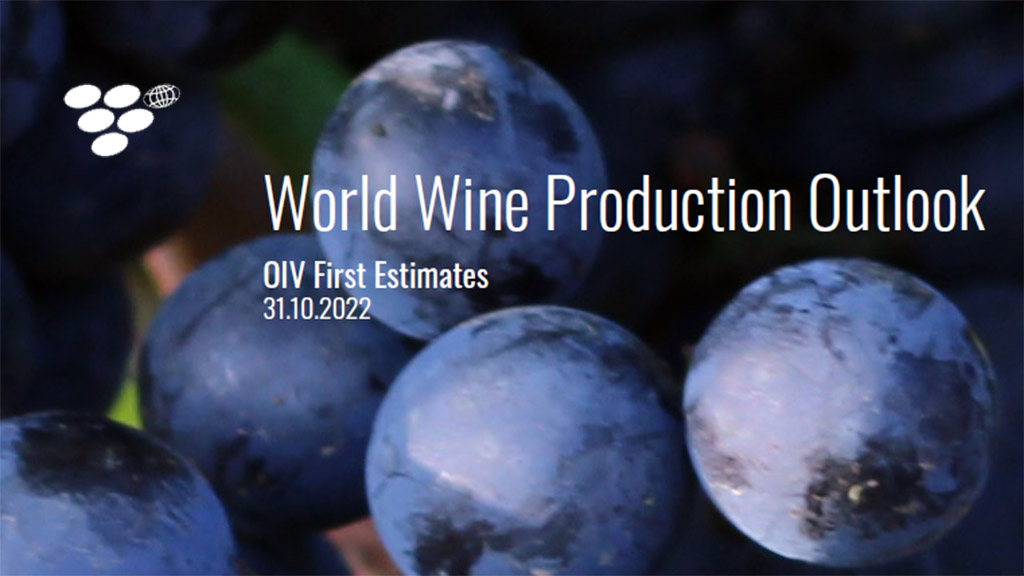 Spirito Italiano Enonautilus EWMC vino metaverso Spirito Italiano Enonautilus EWMC vino metaverso