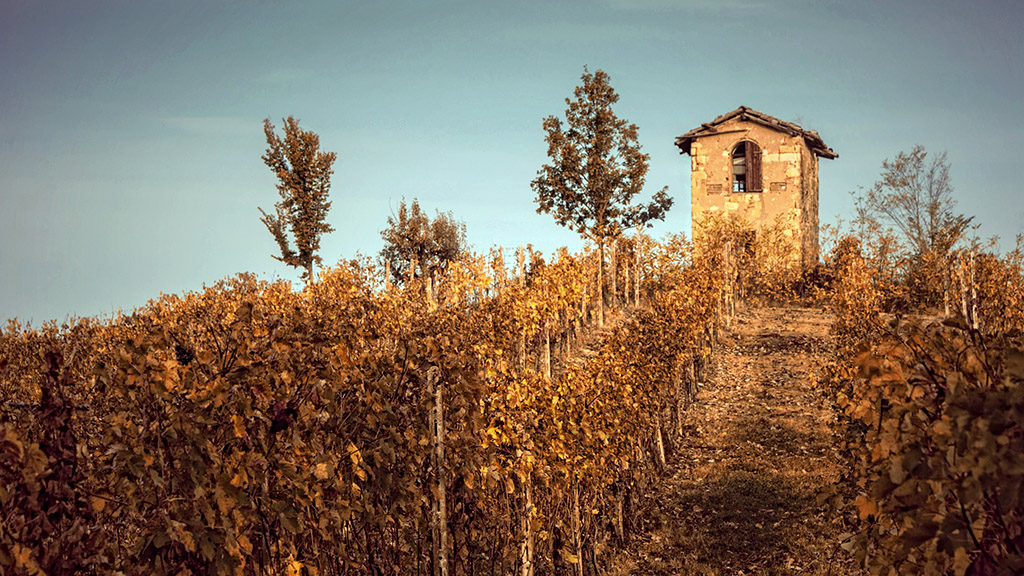 Spirito Italiano donne del vino accordo mondiale