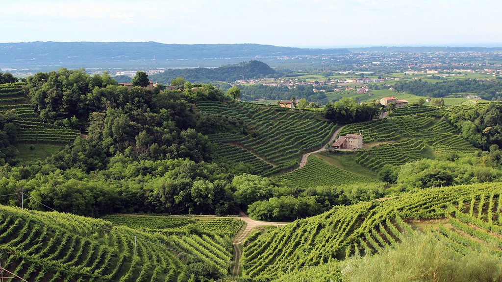 Spirito Italiano italia regioni dop igp