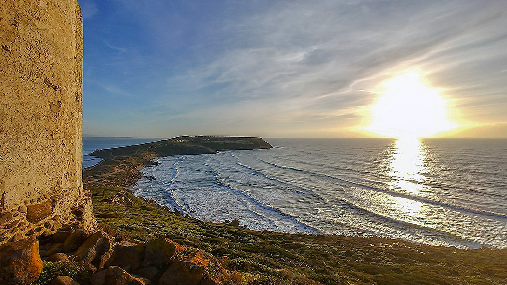 Spirito Italiano Silvio carta gin elio carta giniu Spirito Italiano Silvio carta gin elio carta giniu